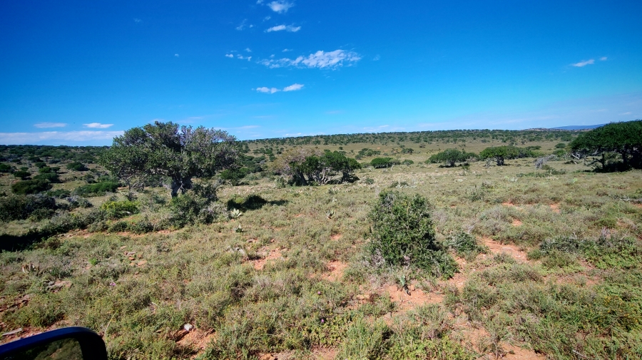 0 Bedroom Property for Sale in Somerset East Rural Eastern Cape